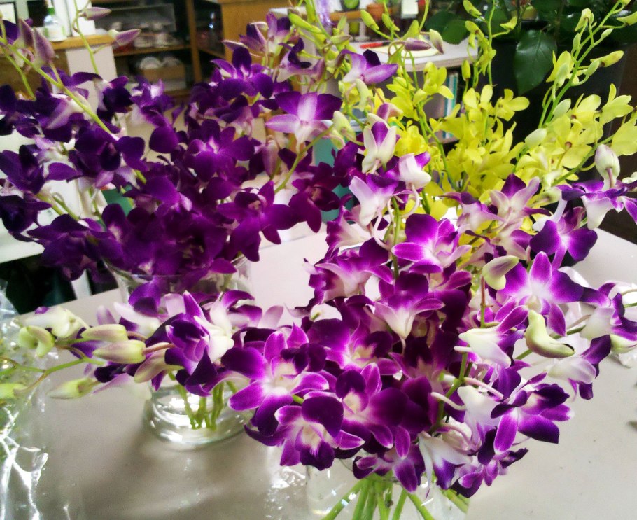 Дендробиум фиолетовый