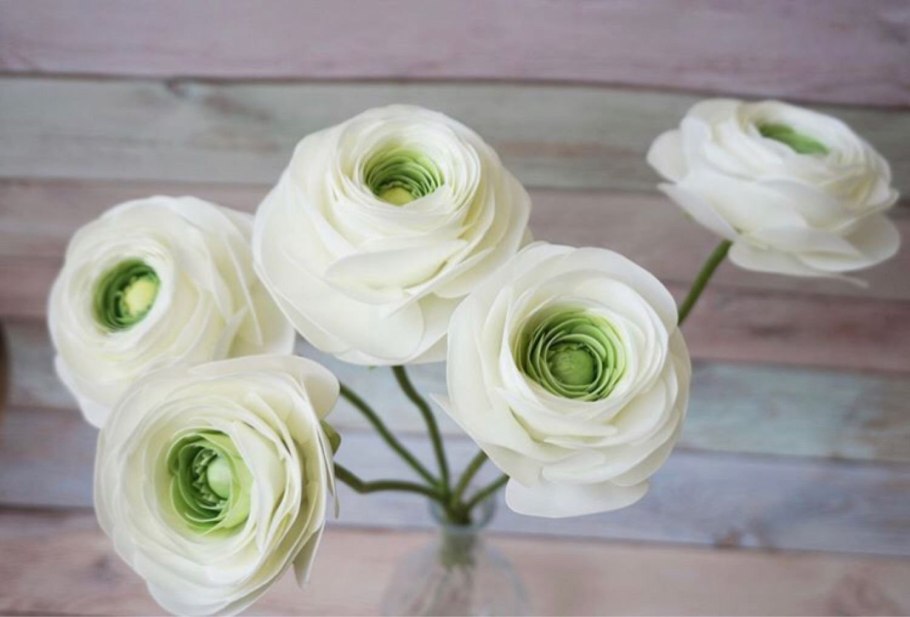 Ранункулюс Дольче Вита