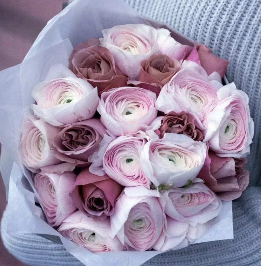 Ранункулюс розовый