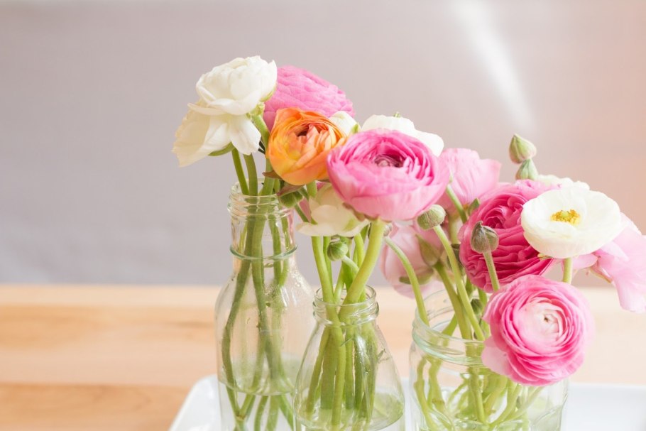 Ранункулюс конфетти