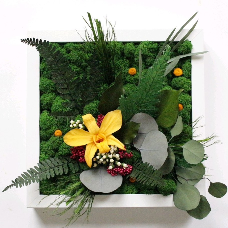 Фитокартина из стабилизированного мха