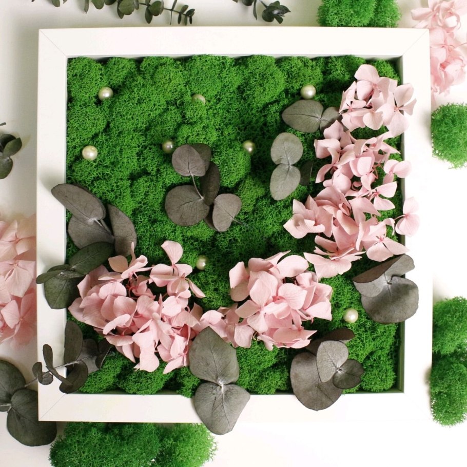 Фитокартины из стабилизированного мха и растений