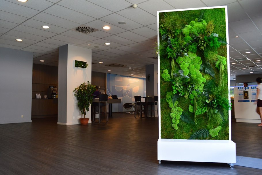 Панно из стабилизированных растений