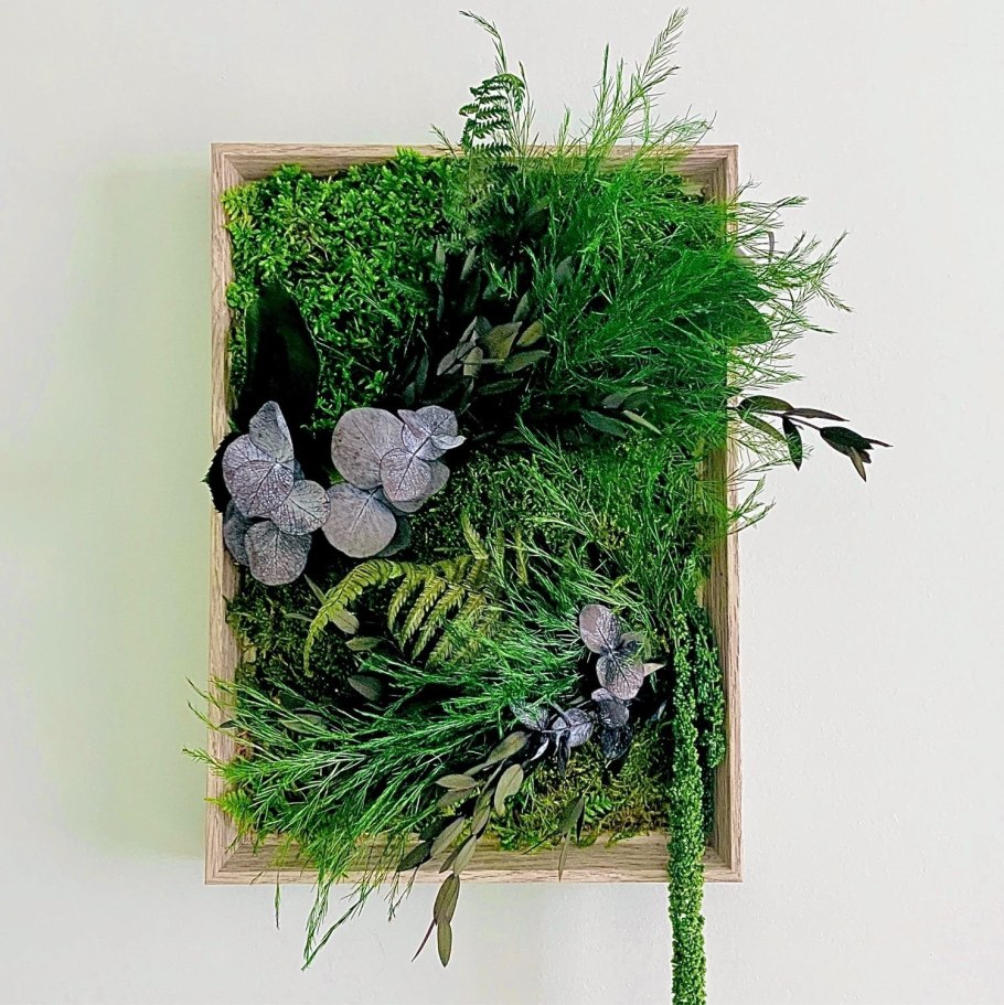 Фитокартины из стабилизированных растений