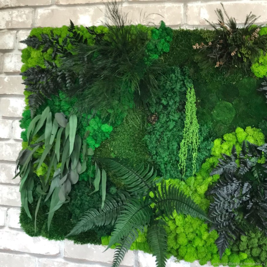 Стабилизированные растения