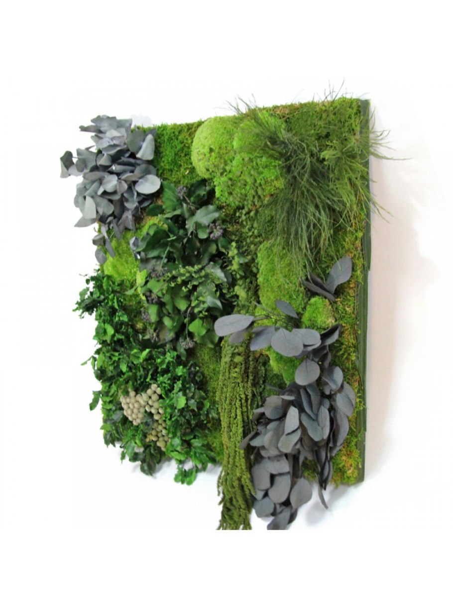 Стабилизированные растения