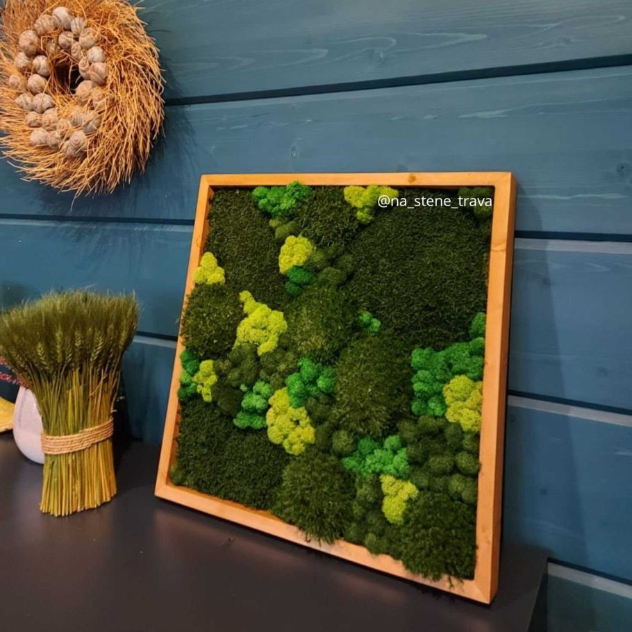 Дриада стабилизированный мох