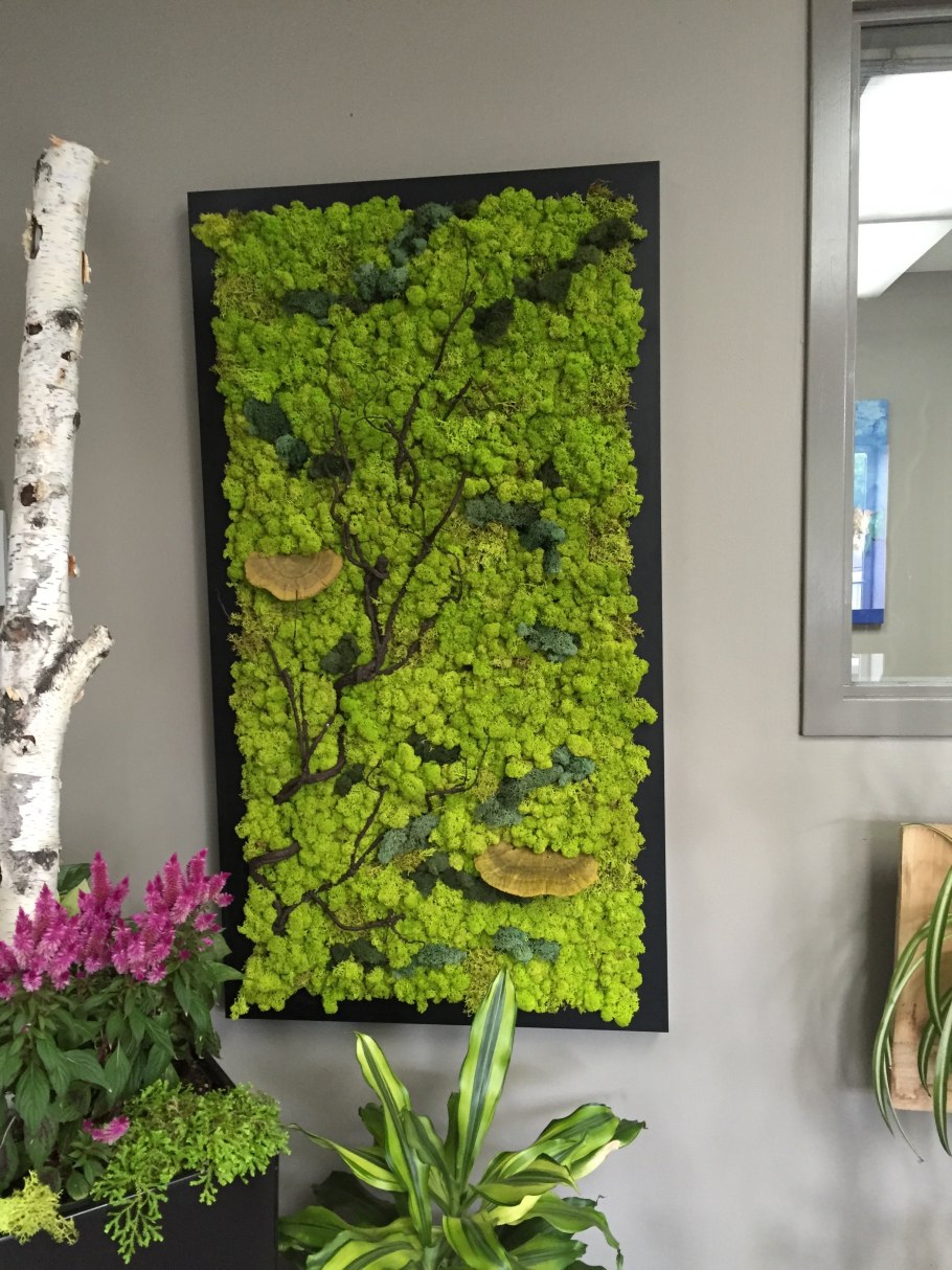 Фитокартина мох растения