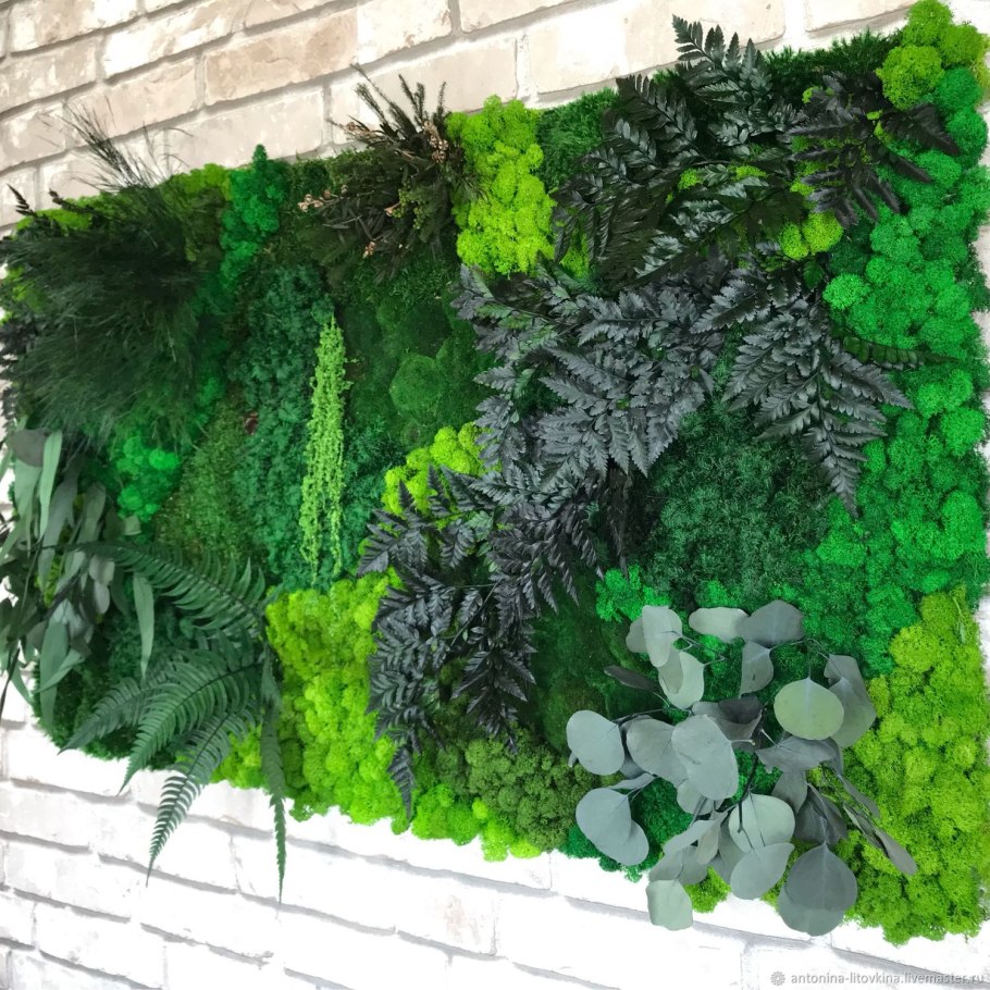 Abnjrfhnbys BP cnfbkbpbhjdfyys[ пастений