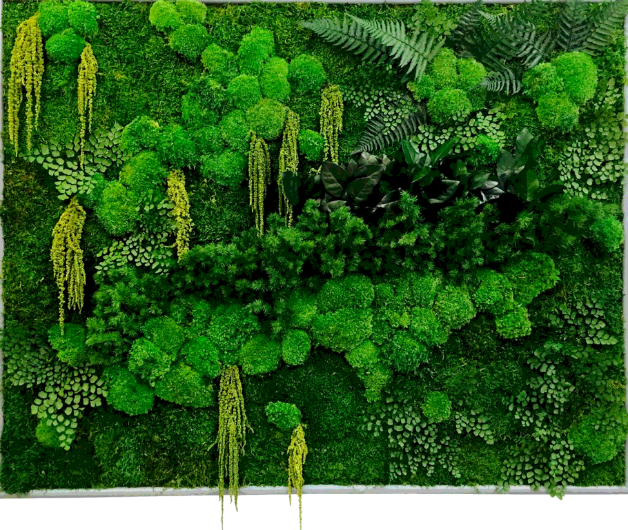 Фитокартина из мха и папоротника