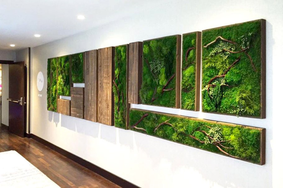 Стабилизированные деревья в интерьере