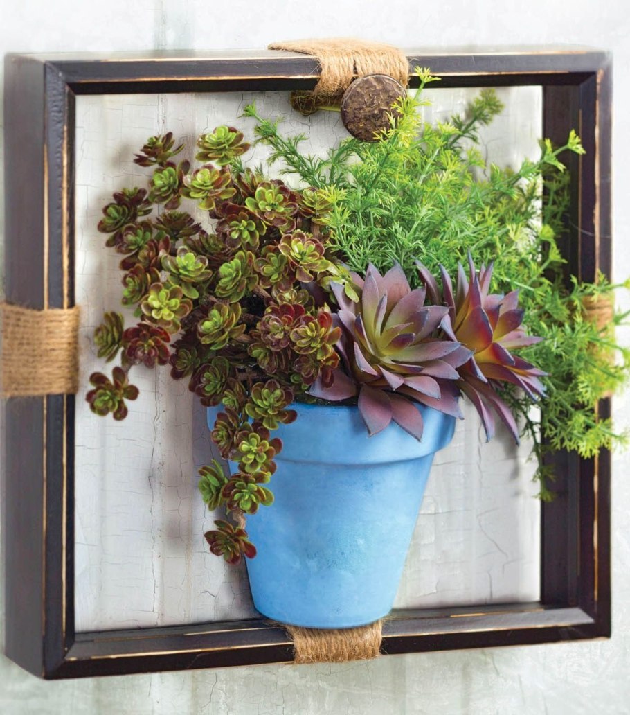 Фитокартина из суккулентов