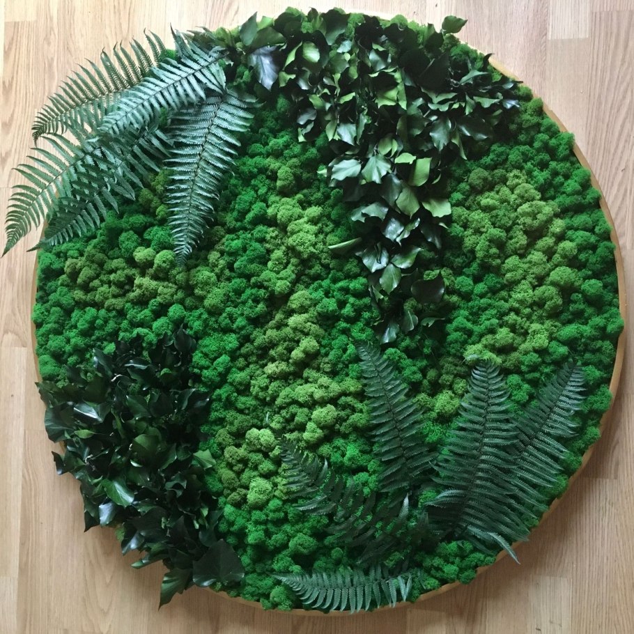 Нефролепис вертикальное Озеленение