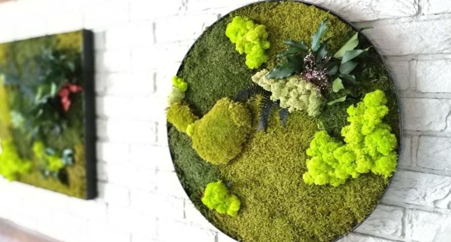 Панно из мха в интерьере