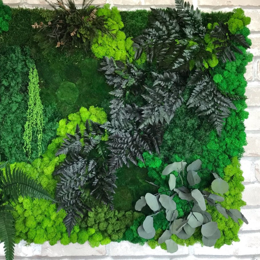 Картины из стабилизированных растений