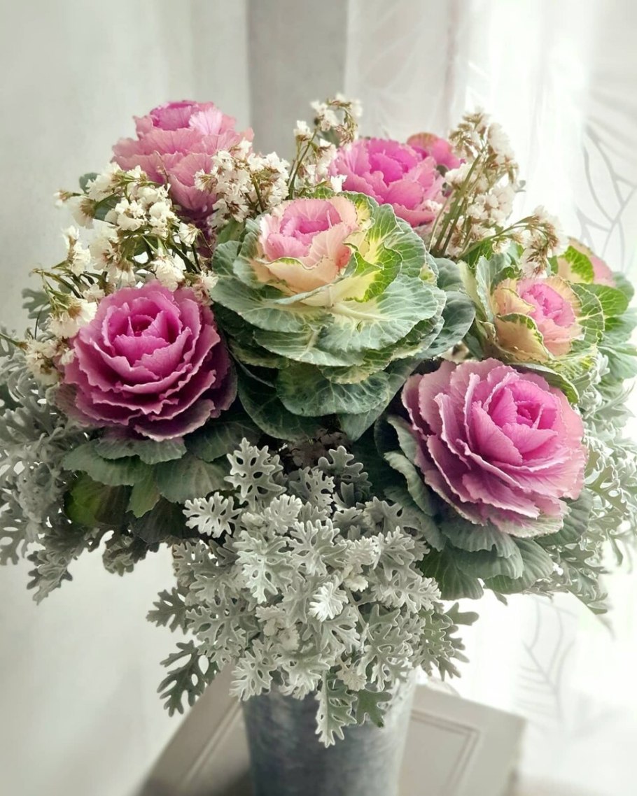 Брассика микс