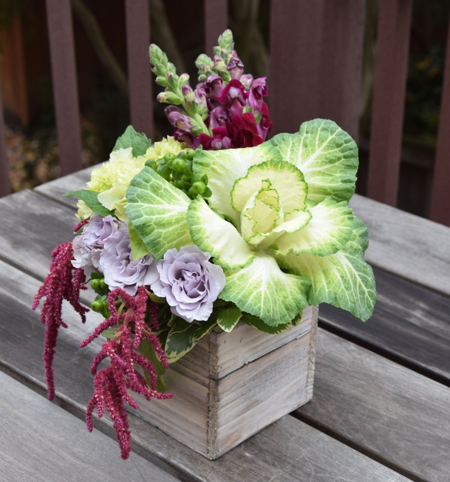 Брассика Гиперикум