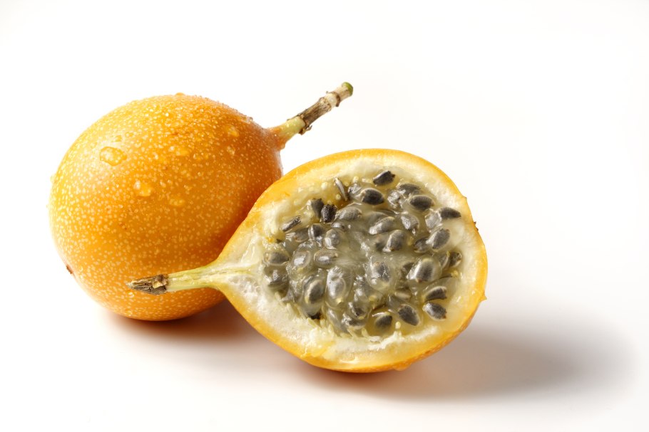 Каштан конский галлы