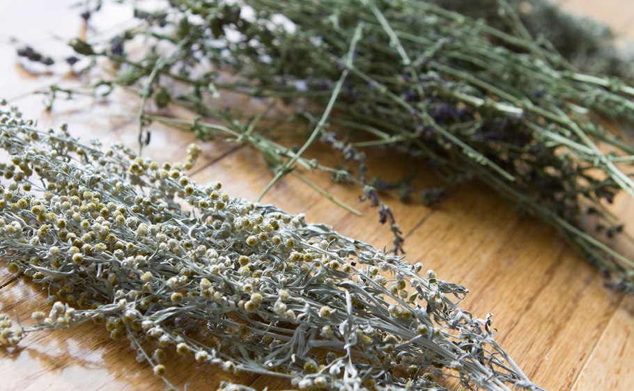 Экстракт полыни