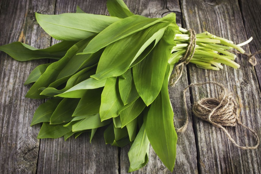 Листья черемши