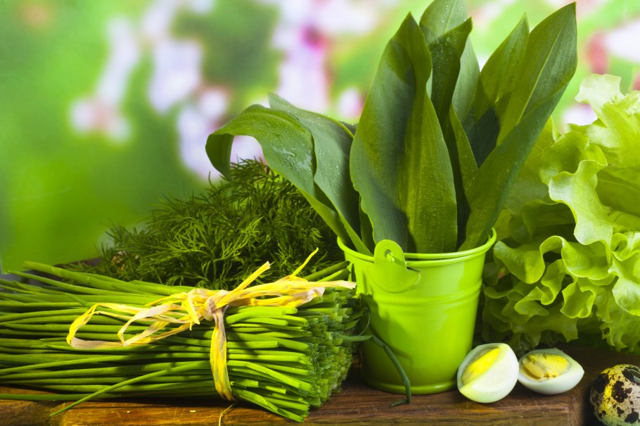 Черемша (Медвежий лук)