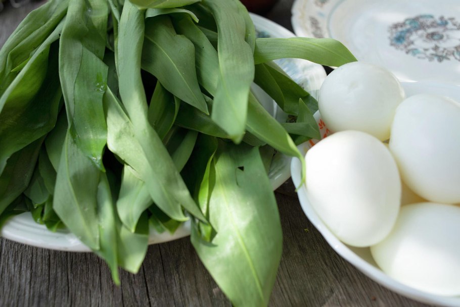 Черемша Кавказская