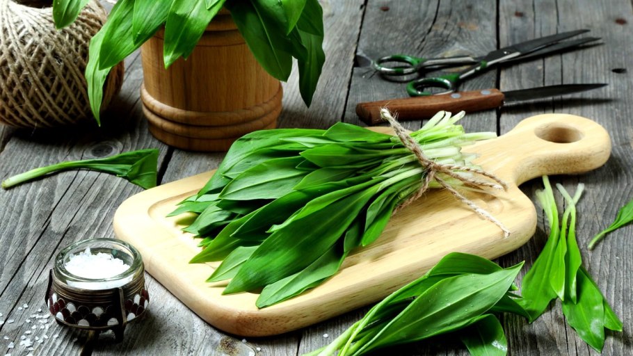 Лесной чеснок черемша