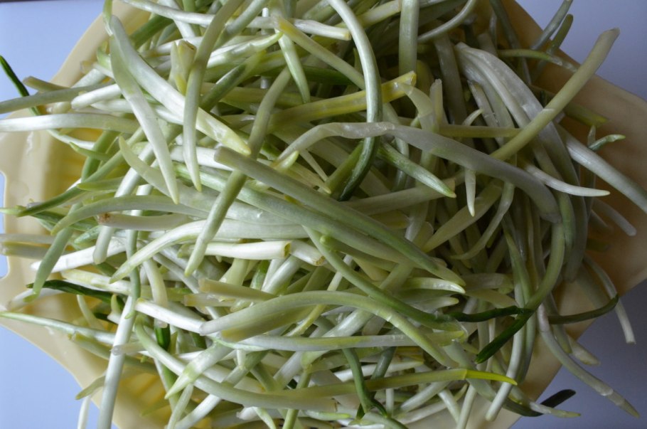 Колба черемша