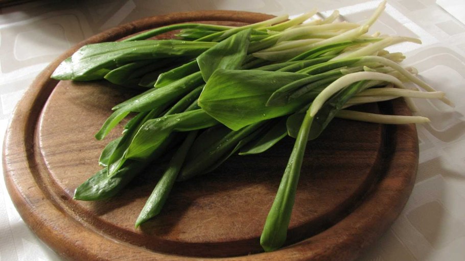 Черемша Болотная