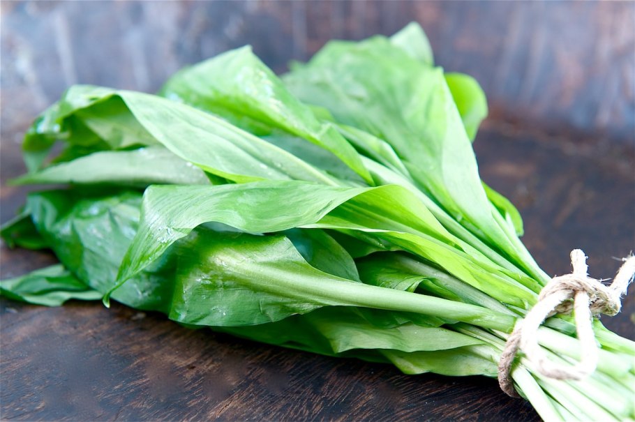 Черемша папоротник