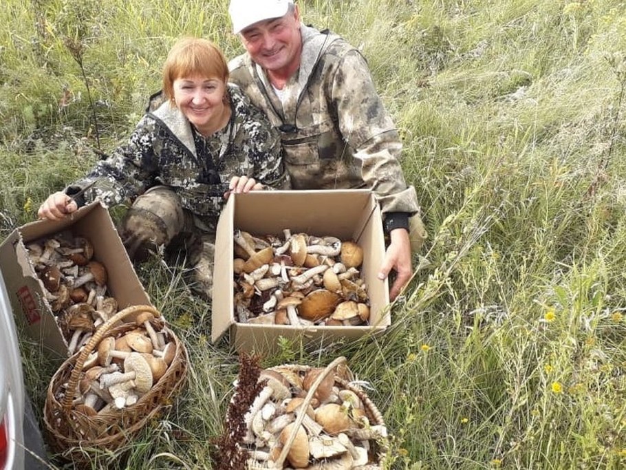 Грибное место Тайга