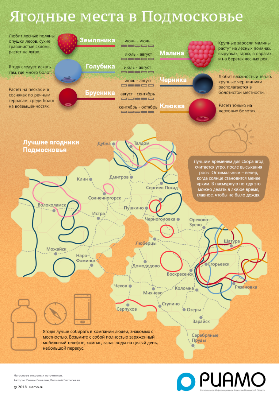 Грузди в Челябинской области
