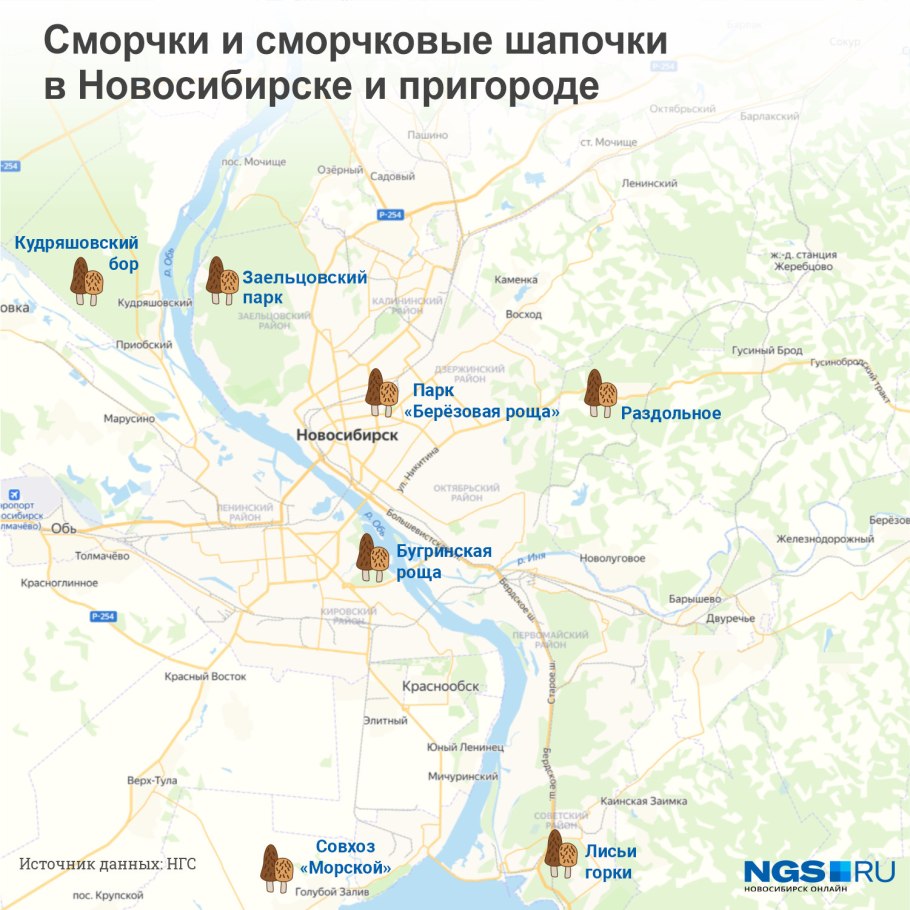 Сбор грибов в Омске