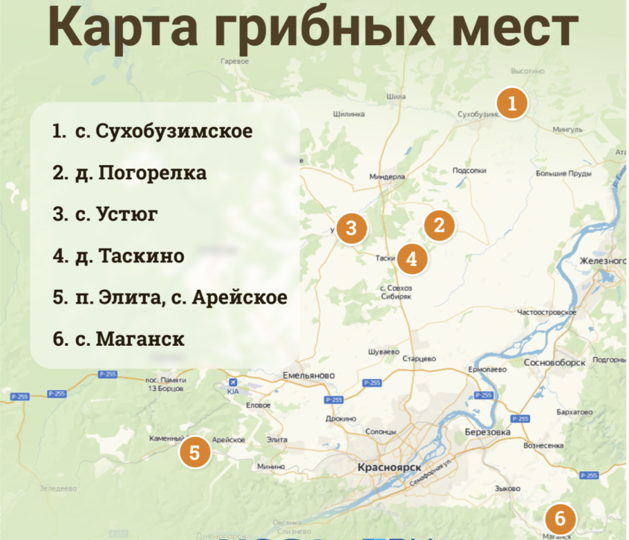 Карта грибных мест