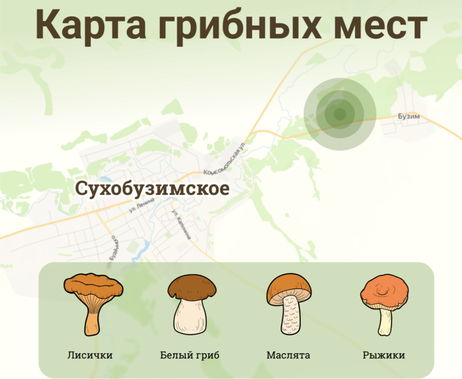 Омские грибы