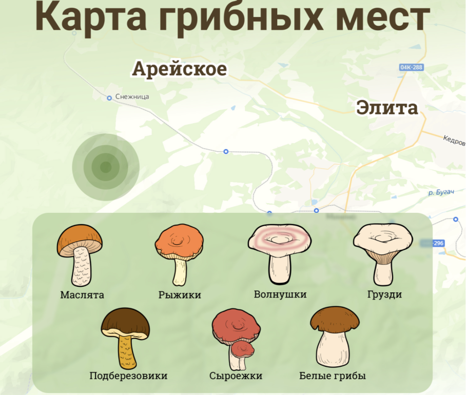 Карта грибов