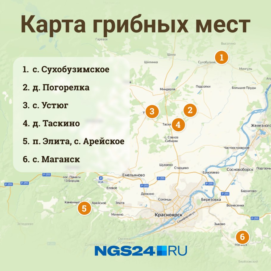 Грибы в Нижегородской области 2021