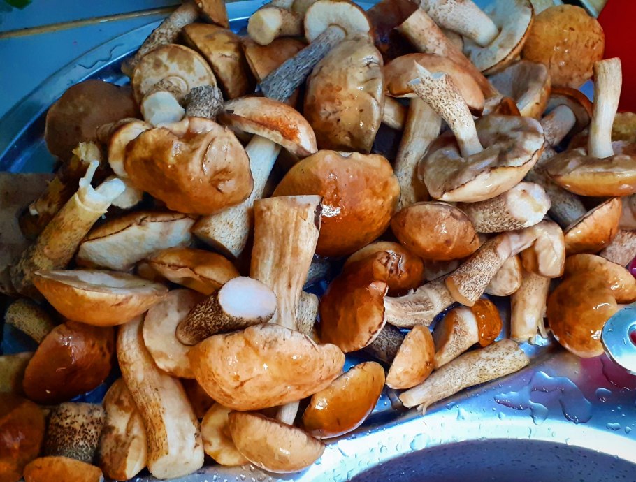 Карта грибника Пермский край