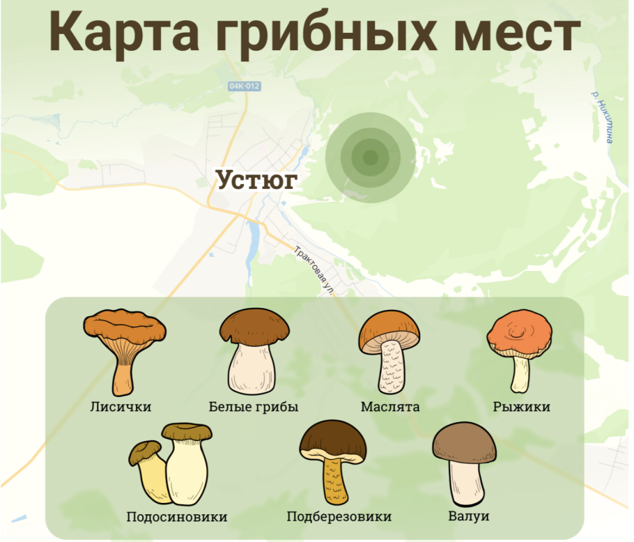 Грибные места
