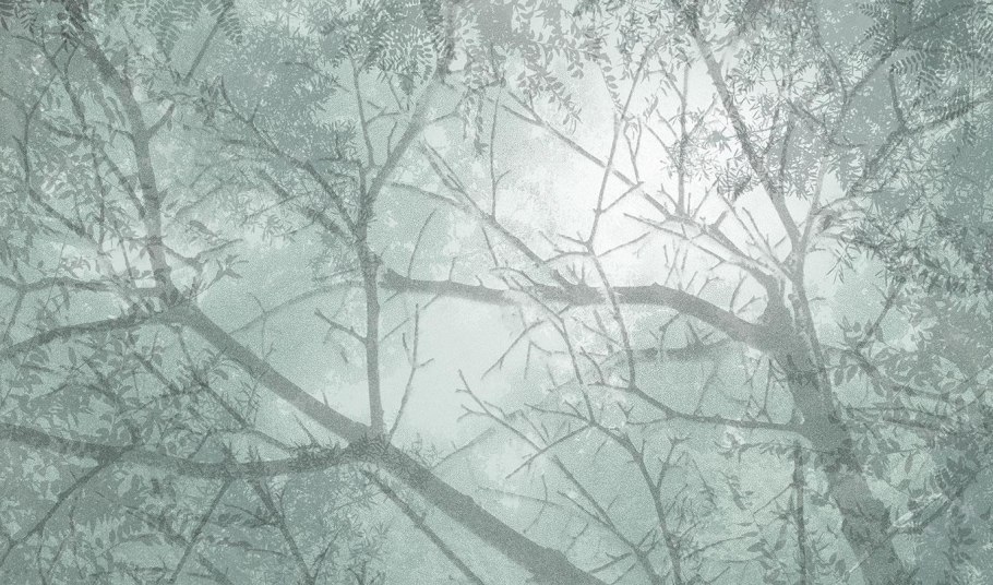 Царапины потертости