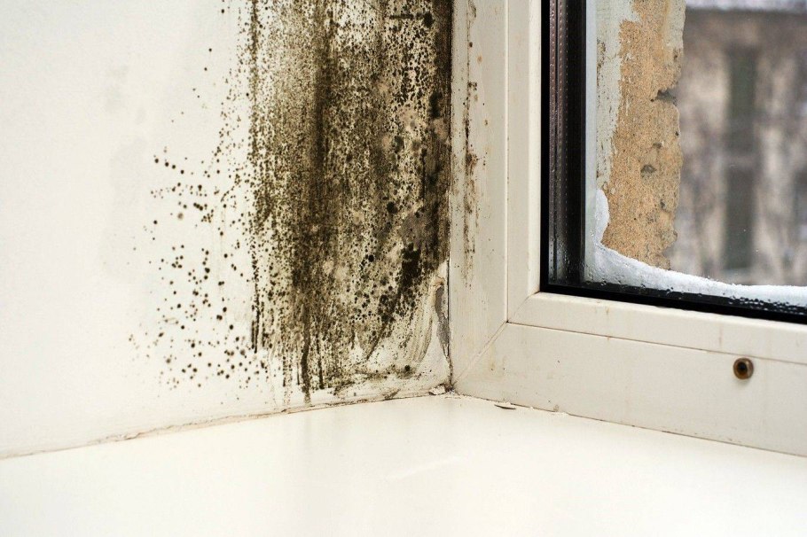 Таинственный чердак