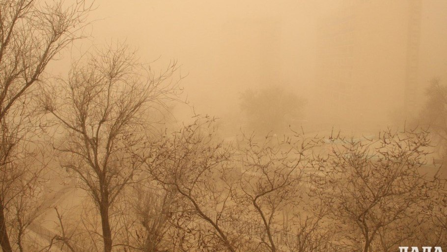 Искусственное сухое дерево