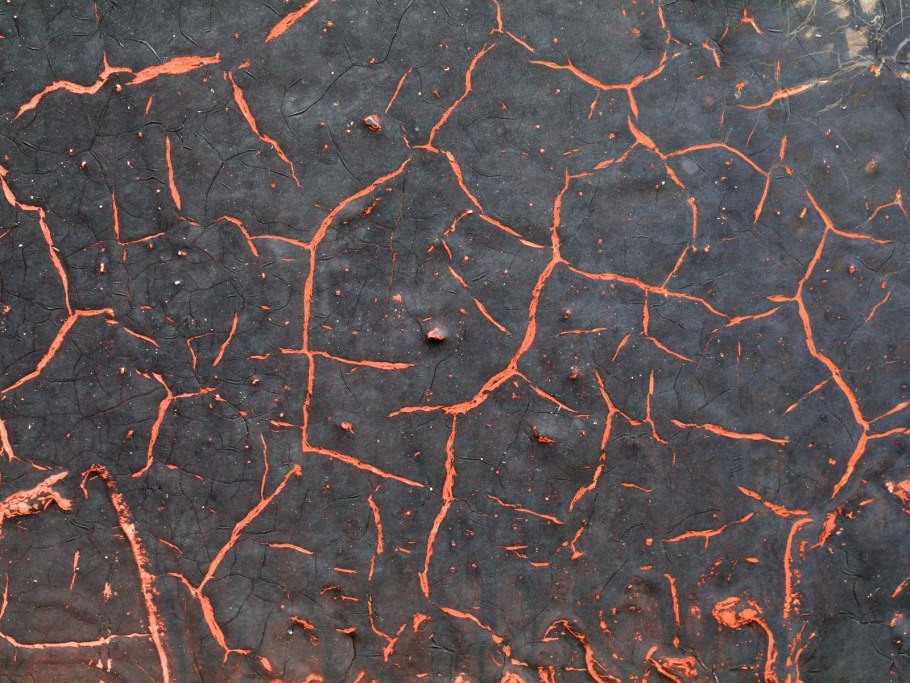 Текстура дерева бесшовная