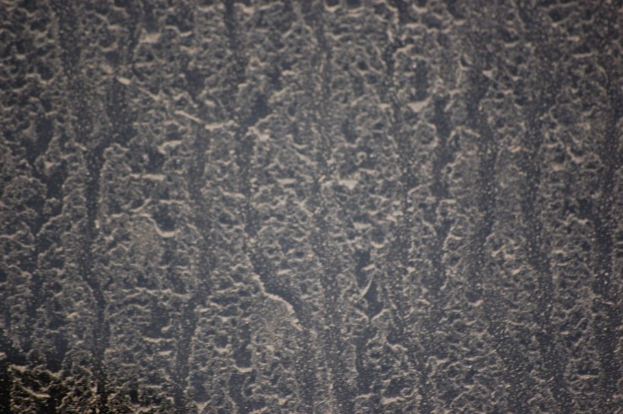 Красивое сказочное дерево