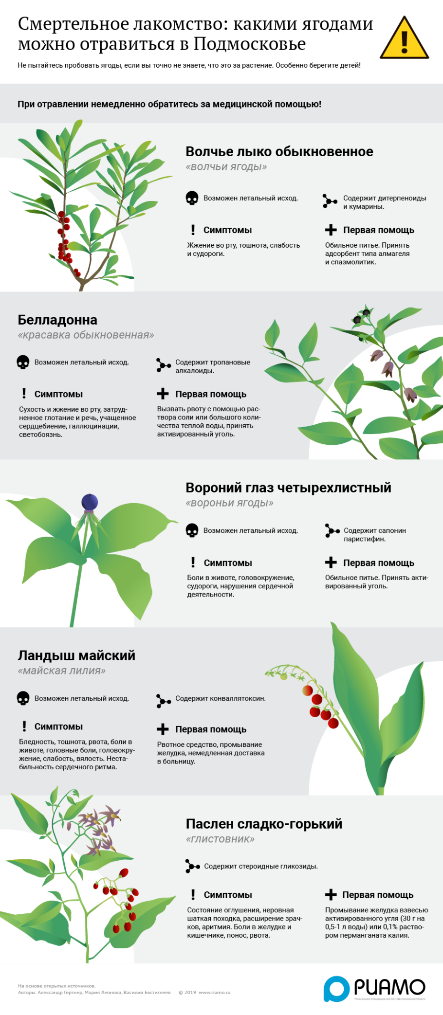 Съедобные и ядовитые растения