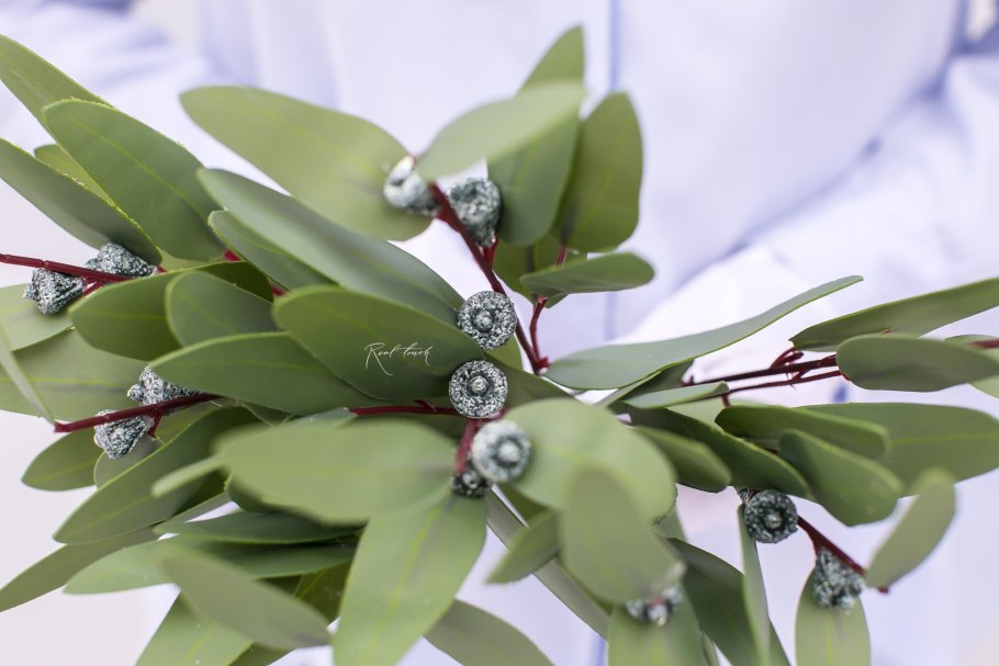 Популус Берри