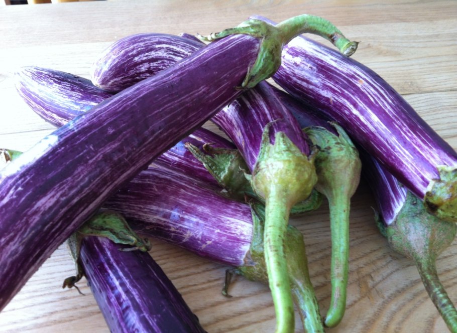 Баклажан Негус