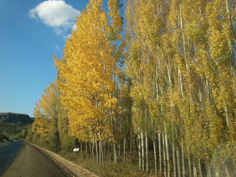 Ядерный Арсенал России Тополь м