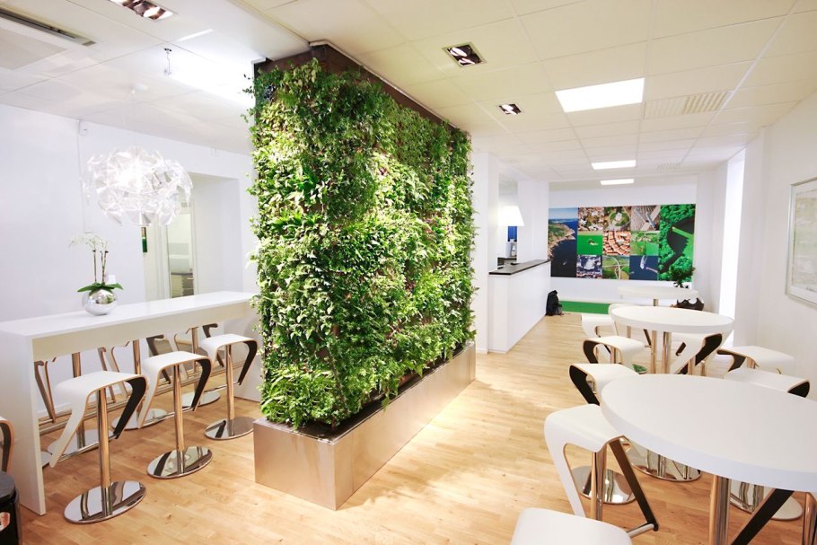 Перегородка с живыми растениями