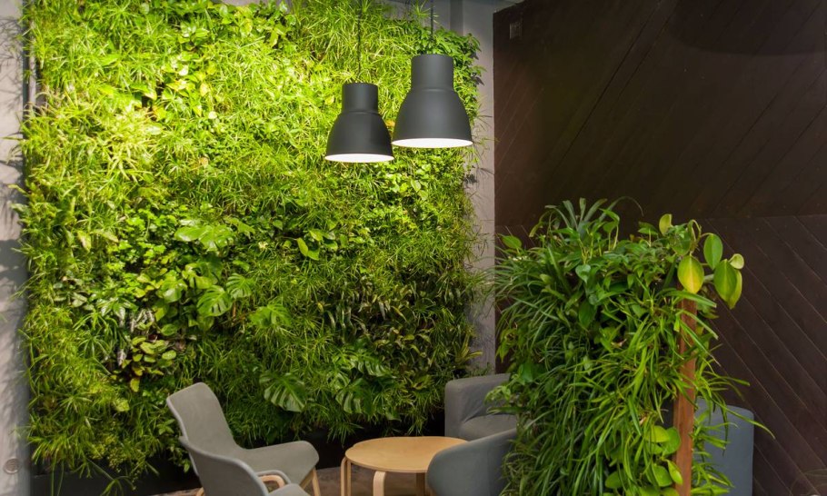 Фитостены из мхов и растений